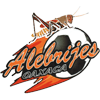 Alebrijes de Oaxaca FC