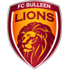 FC Bulleen Lions
