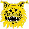 Tampereen Ilves F
