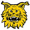 Tampereen Ilves 2