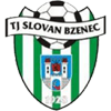 Tj Slovan Bzenec