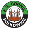 KS Polkowice
