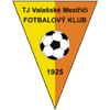 TJ Valasske Mezirici