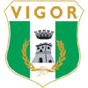 Vigor Lamezia